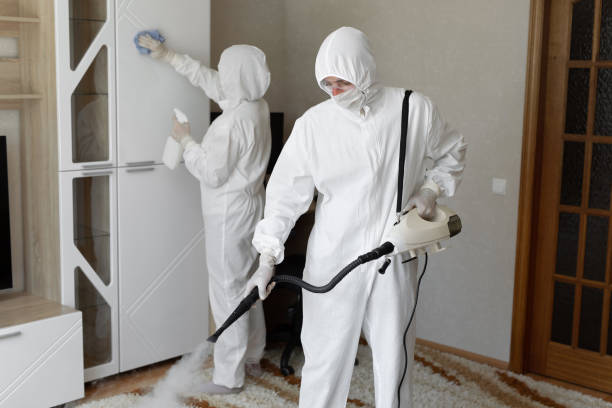 Best Toxic Mold Removal  in Suitland, MD
