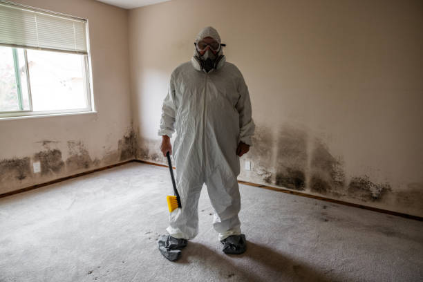 Water Damage Restoration in Suitland, MD